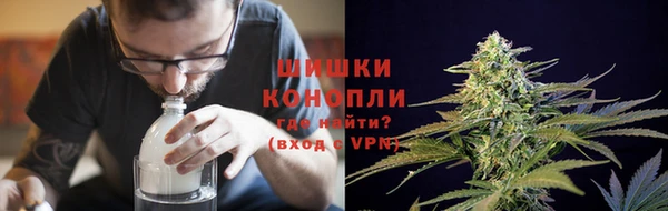 СК Краснослободск